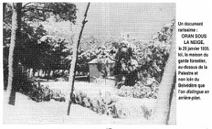 G 061- Planteurs
